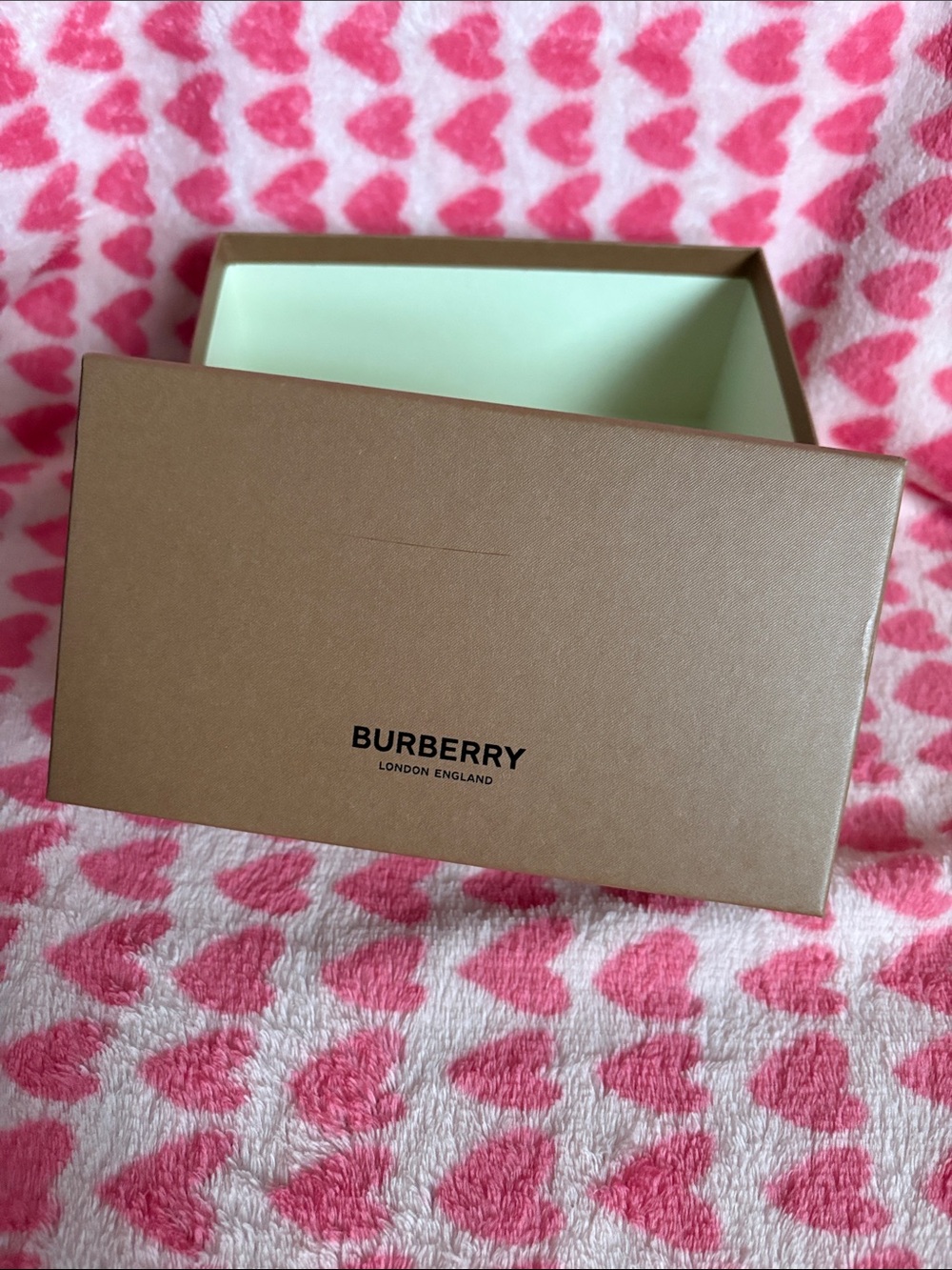 Burberry Bath & Body Gift Box in Tan with Mint Interior